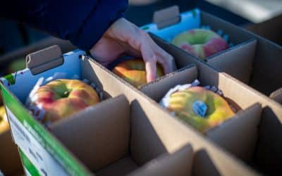Creating Miracles Every Day: Care and Share Food Bank