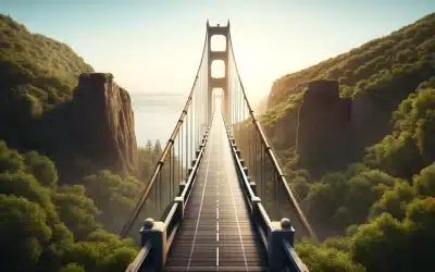 The Bridge From ED to CEO