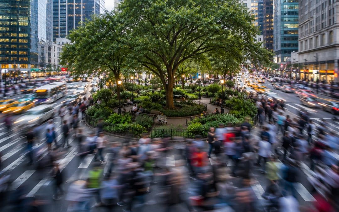 Metabolizing Disruption